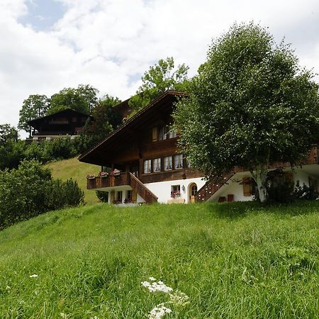 Chalet Unter dem Stein Grindelwald Exterior foto