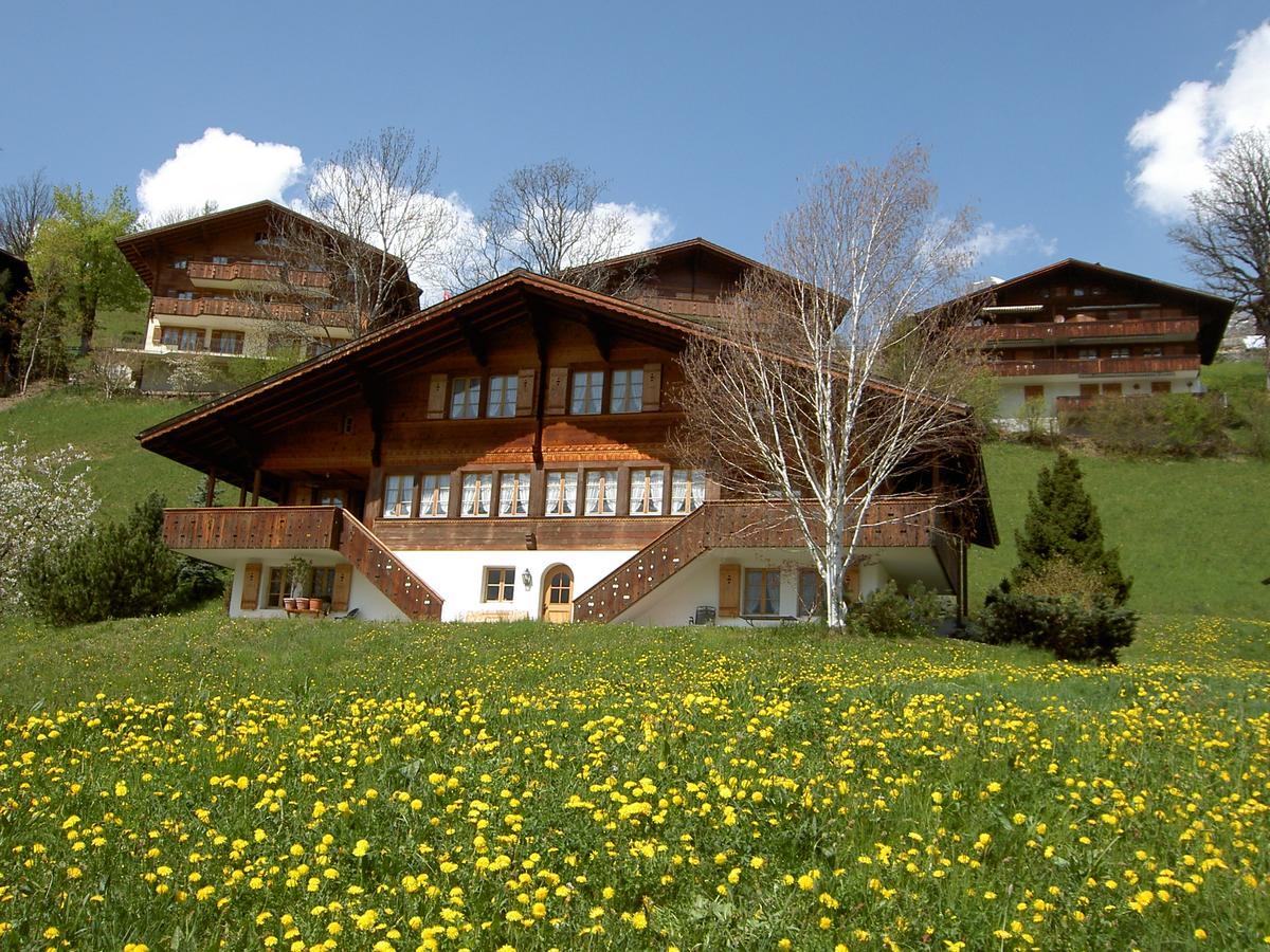 Chalet Unter dem Stein Grindelwald Exterior foto