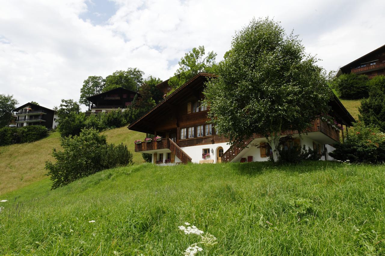 Ferienwohnung Chalet Unter dem Stein Grindelwald Exterior foto