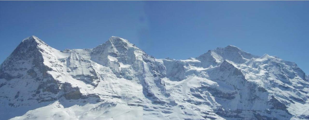 Chalet Unter dem Stein Grindelwald Exterior foto